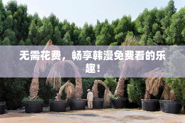 无需花费，畅享韩漫免费看的乐趣！