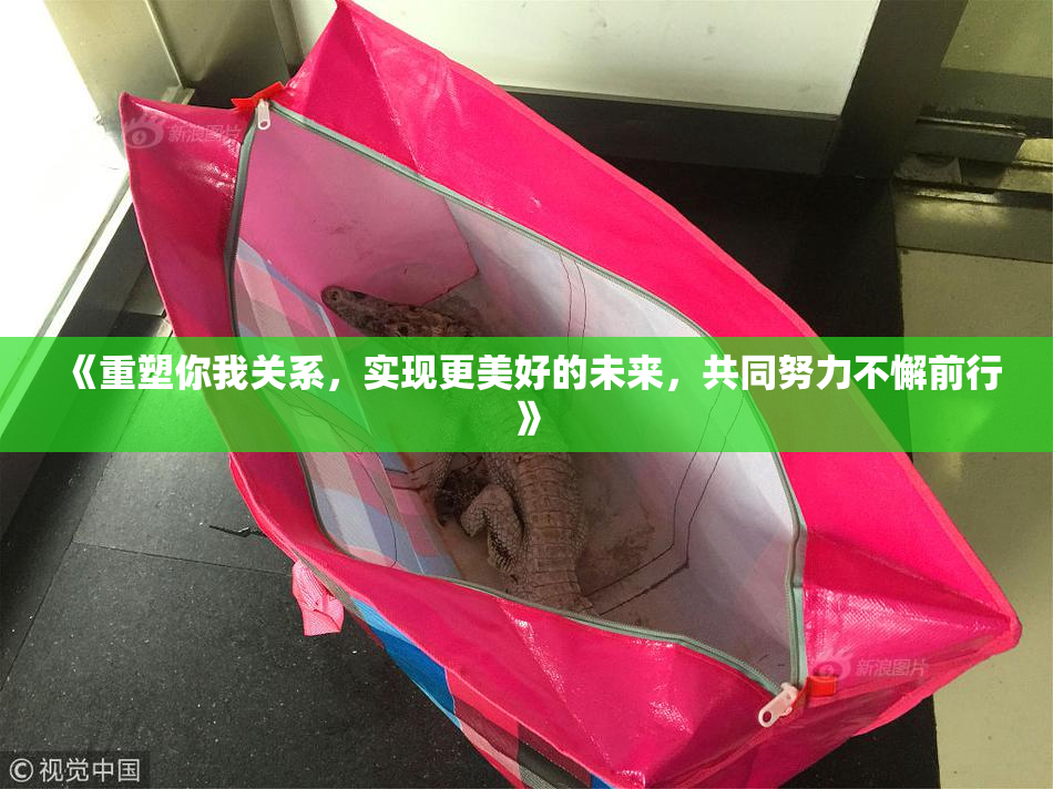 《重塑你我关系，实现更美好的未来，共同努力不懈前行》