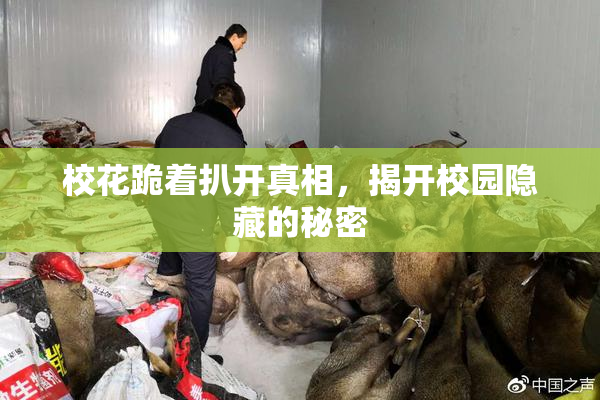 校花跪着扒开真相，揭开校园隐藏的秘密