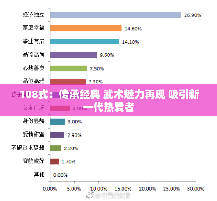 108式：传承经典 武术魅力再现 吸引新一代热爱者