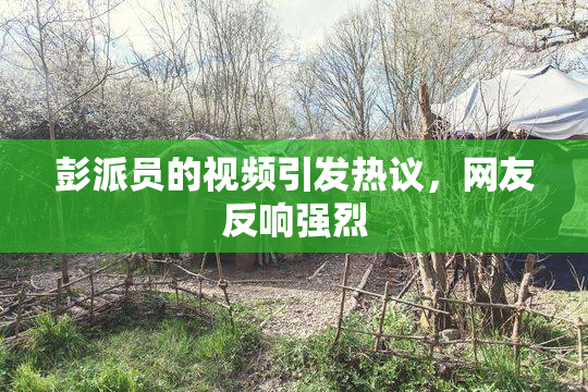 彭派员的视频引发热议，网友反响强烈