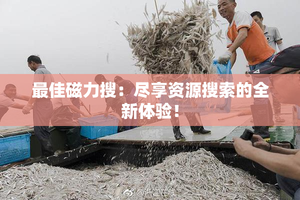 最佳磁力搜：尽享资源搜索的全新体验！