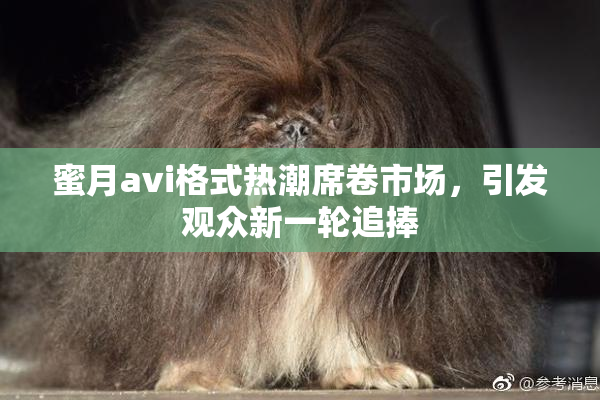 蜜月avi格式热潮席卷市场，引发观众新一轮追捧