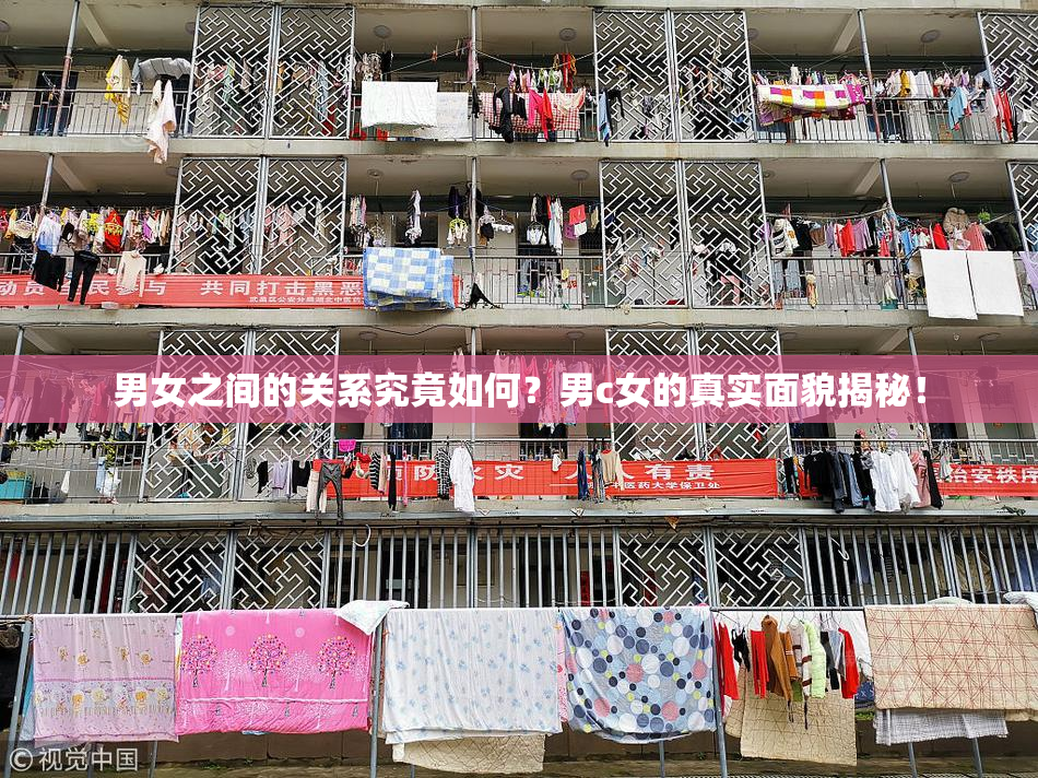 男女之间的关系究竟如何？男c女的真实面貌揭秘！
