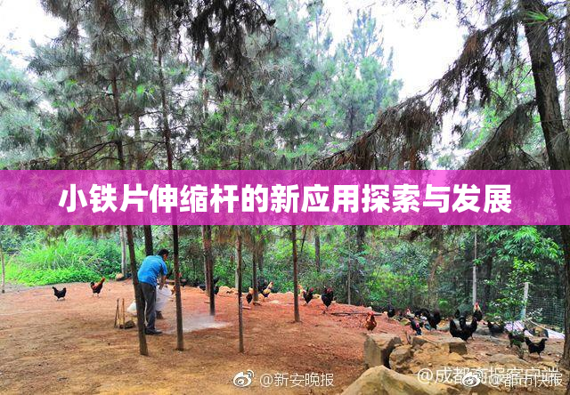 小铁片伸缩杆的新应用探索与发展