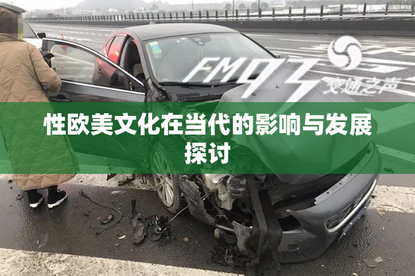 性欧美文化在当代的影响与发展探讨
