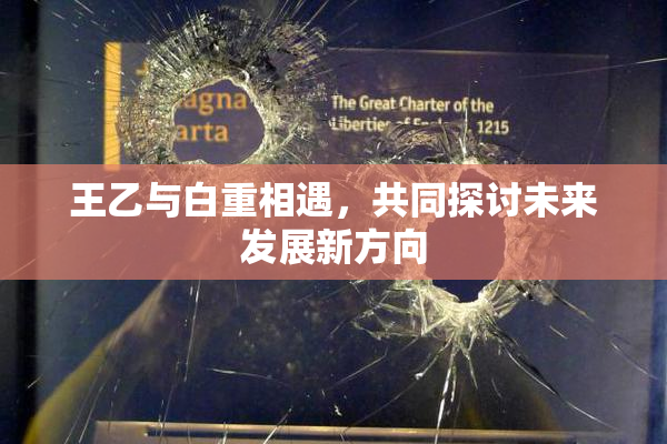 王乙与白重相遇，共同探讨未来发展新方向