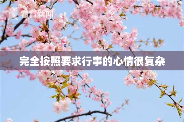 完全按照要求行事的心情很复杂