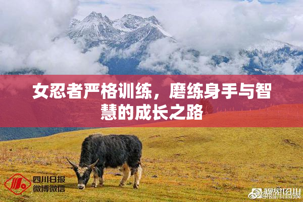 女忍者严格训练，磨练身手与智慧的成长之路
