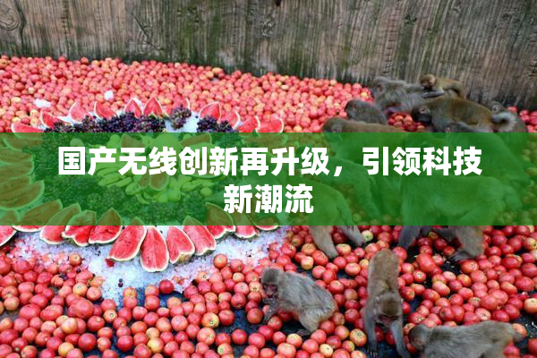 国产无线创新再升级，引领科技新潮流