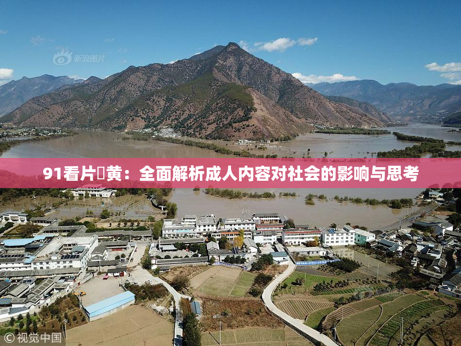 91看片婬黄：全面解析成人内容对社会的影响与思考