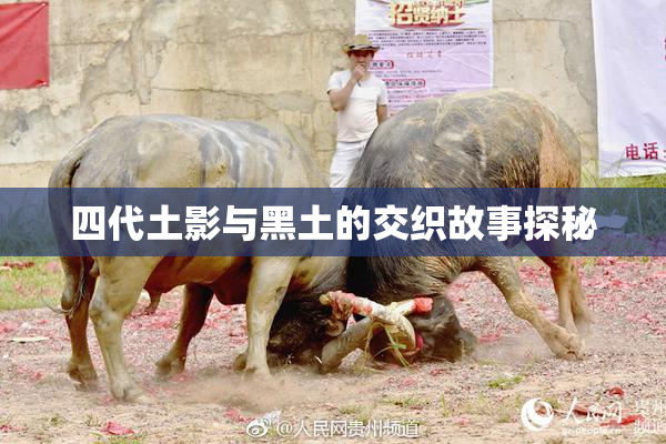四代土影与黑土的交织故事探秘