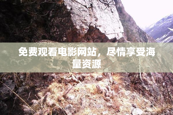 免费观看电影网站，尽情享受海量资源