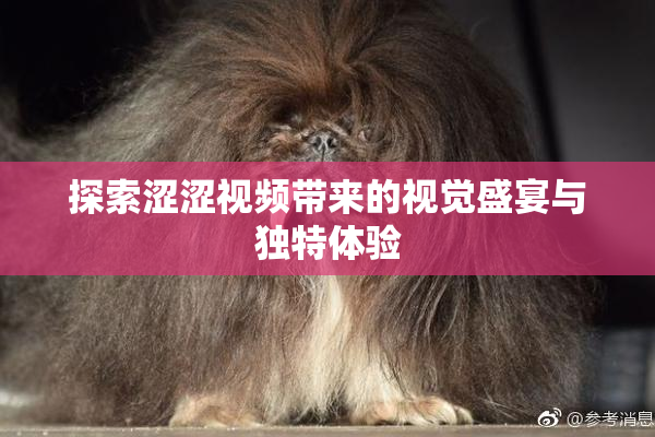探索涩涩视频带来的视觉盛宴与独特体验