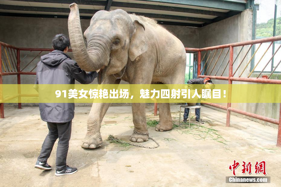 91美女惊艳出场，魅力四射引人瞩目！