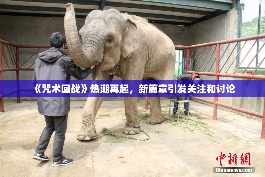 《咒术回战》热潮再起，新篇章引发关注和讨论