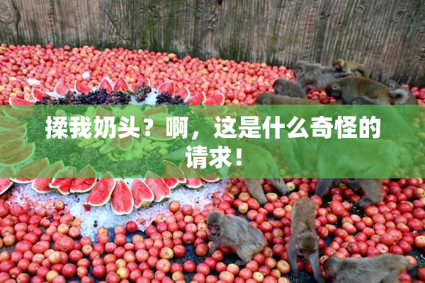 揉我奶头？啊，这是什么奇怪的请求！