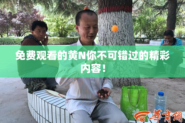 免费观看的黄Ν你不可错过的精彩内容！