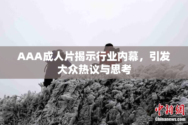 AAA成人片揭示行业内幕，引发大众热议与思考