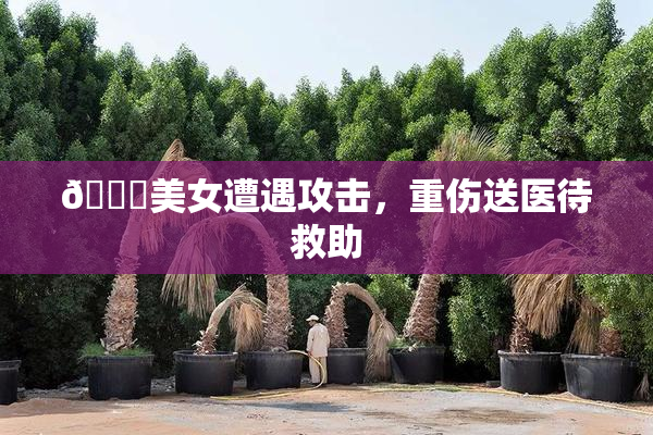 🔞美女遭遇攻击，重伤送医待救助