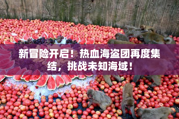 新冒险开启！热血海盗团再度集结，挑战未知海域！