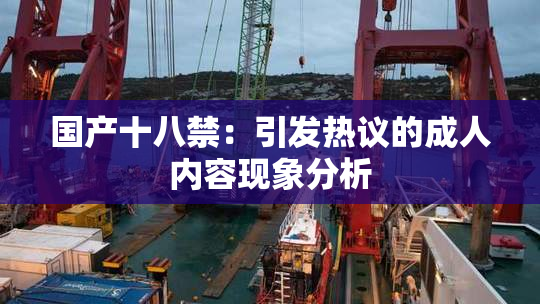 国产十八禁：引发热议的成人内容现象分析