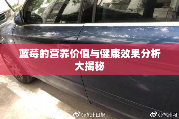 蓝莓的营养价值与健康效果分析大揭秘