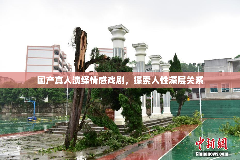 国产真人演绎情感戏剧，探索人性深层关系