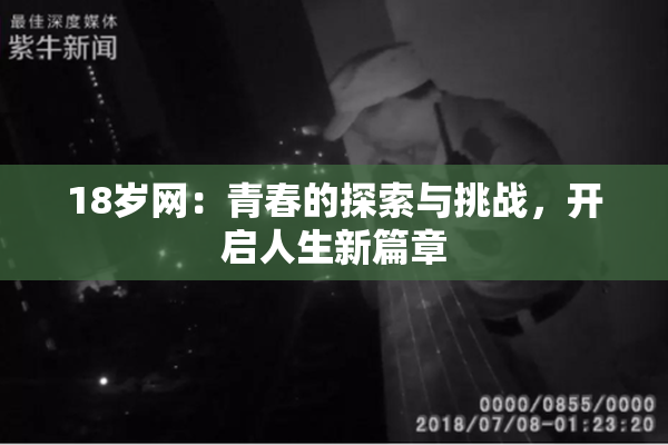 18岁网：青春的探索与挑战，开启人生新篇章