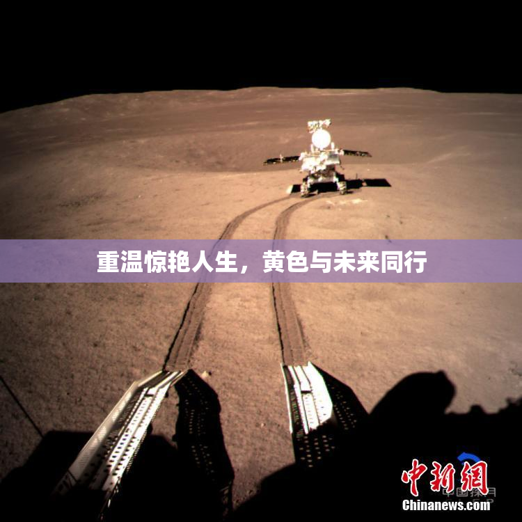 重温惊艳人生，黄色与未来同行