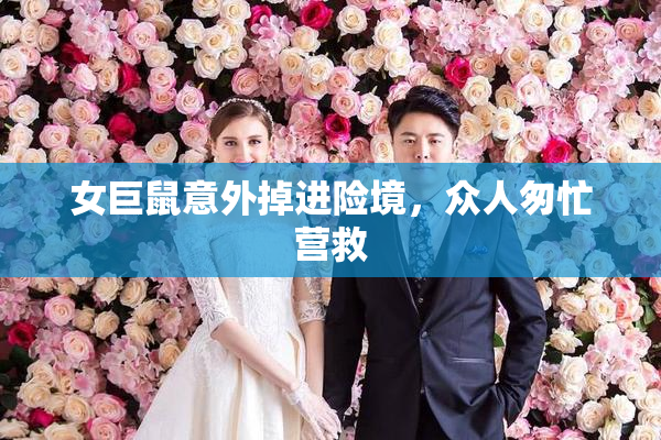 女巨鼠意外掉进险境，众人匆忙营救