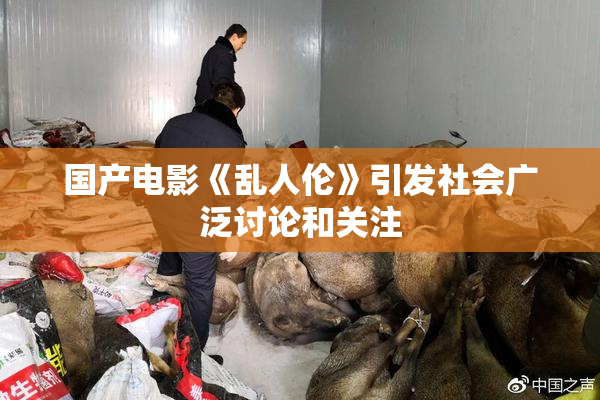 国产电影《乱人伦》引发社会广泛讨论和关注