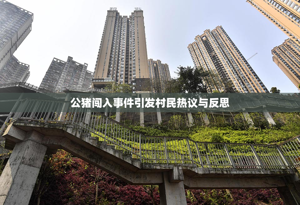 公猪闯入事件引发村民热议与反思