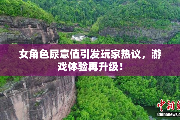 女角色尿意值引发玩家热议，游戏体验再升级！
