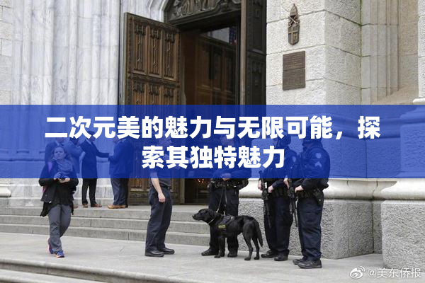 二次元美的魅力与无限可能，探索其独特魅力