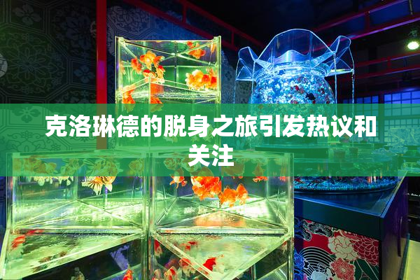克洛琳德的脱身之旅引发热议和关注