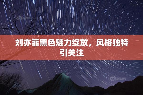 刘亦菲黑色魅力绽放，风格独特引关注
