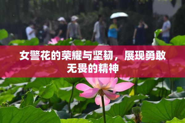 女警花的荣耀与坚韧，展现勇敢无畏的精神