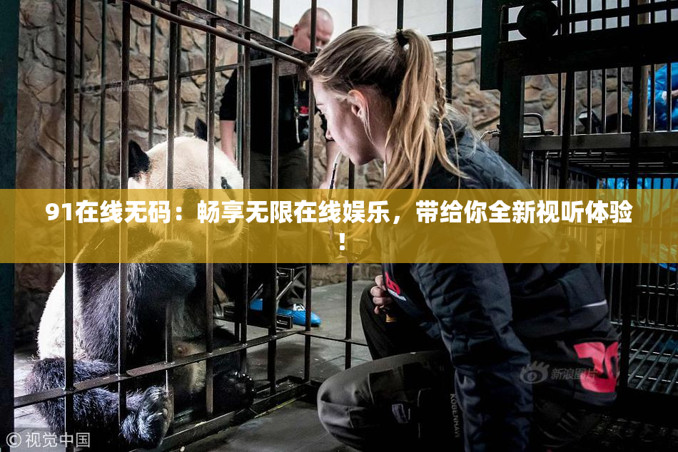 91在线无码：畅享无限在线娱乐，带给你全新视听体验！