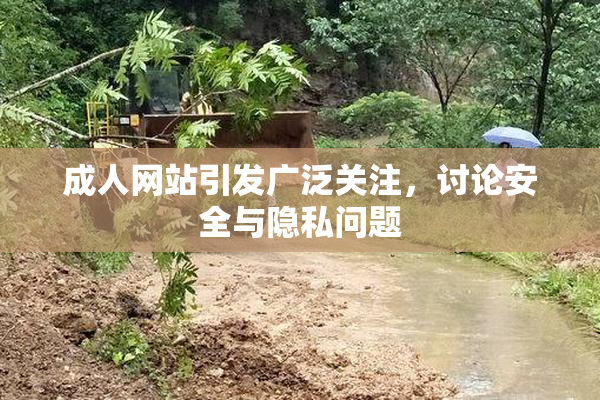 成人网站引发广泛关注，讨论安全与隐私问题