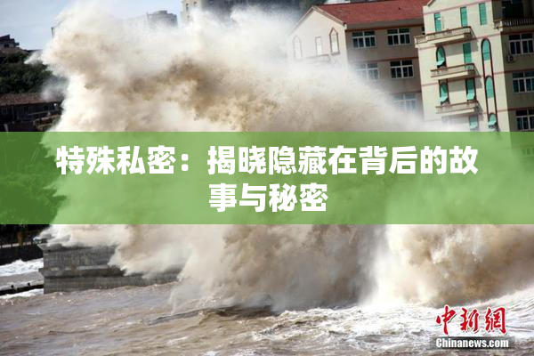 特殊私密：揭晓隐藏在背后的故事与秘密