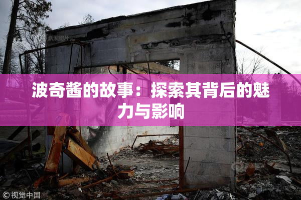 波奇酱的故事：探索其背后的魅力与影响