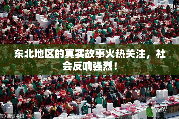 东北地区的真实故事火热关注，社会反响强烈！