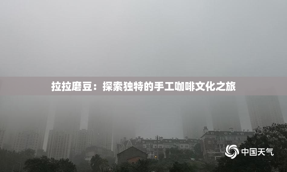 拉拉磨豆：探索独特的手工咖啡文化之旅