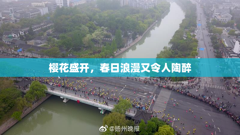 樱花盛开，春日浪漫又令人陶醉