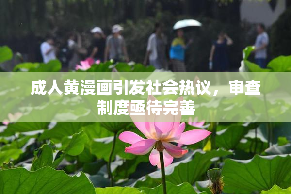 成人黄漫画引发社会热议，审查制度亟待完善