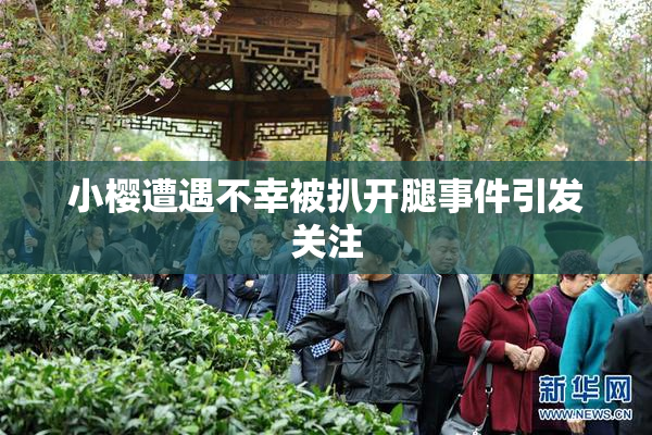 小樱遭遇不幸被扒开腿事件引发关注