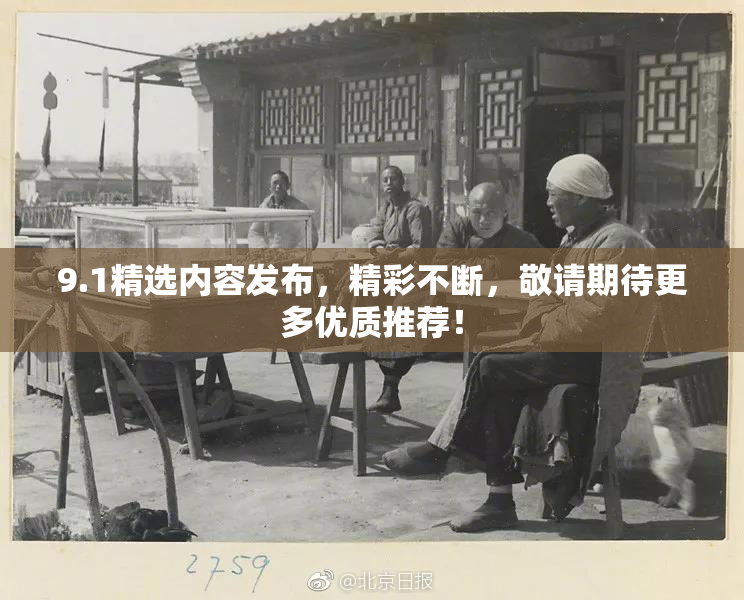 9.1精选内容发布，精彩不断，敬请期待更多优质推荐！
