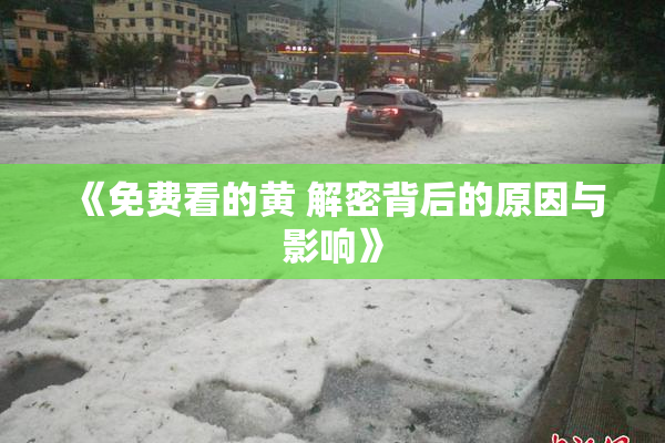 《免费看的黄 解密背后的原因与影响》