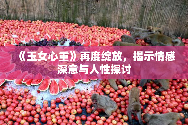 《玉女心重》再度绽放，揭示情感深意与人性探讨